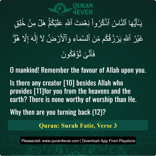 Quran Surah 35 Verse 3
