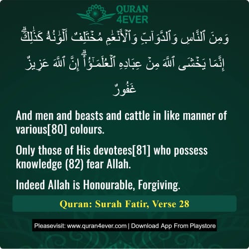 Quran Surah 35 Verse 28