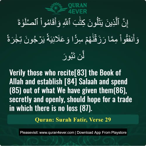 Quran Surah 35 Verse 29