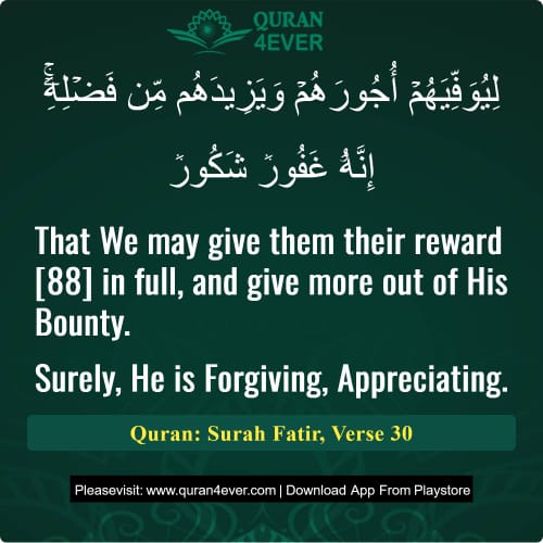 Quran Surah 35 Verse 30