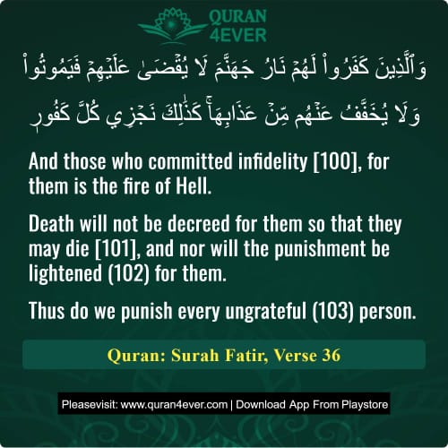 Quran Surah 35 Verse 36