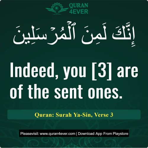 Quran Surah 36 Verse 3