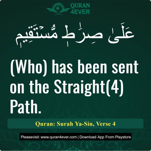Quran Surah 36 Verse 4