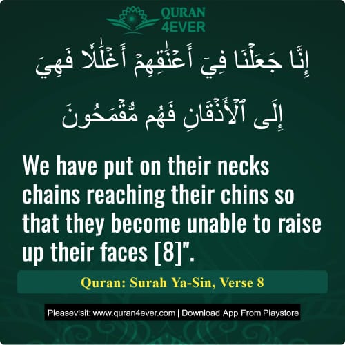 Quran Surah 36 Verse 8