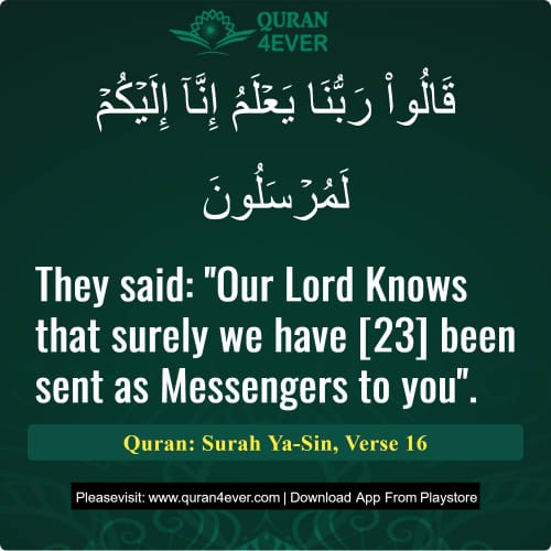 Quran Surah 36 Verse 16