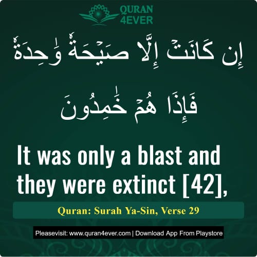 Quran Surah 36 Verse 29
