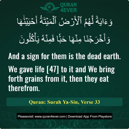 Quran Surah 36 Verse 33