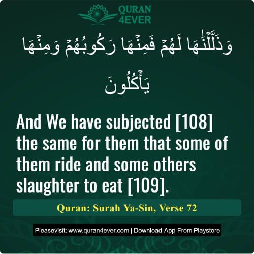 Quran Surah 36 Verse 72