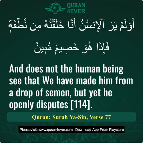 Quran Surah 36 Verse 77