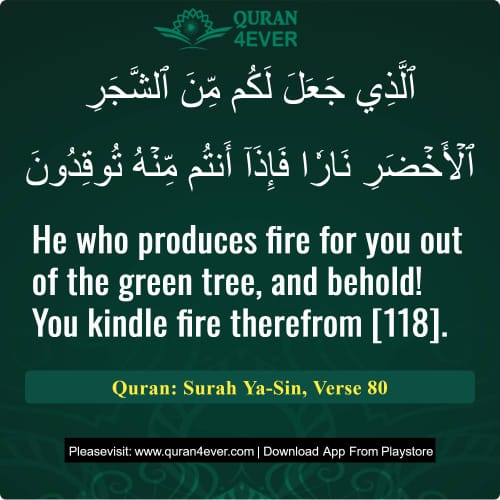 Quran Surah 36 Verse 80