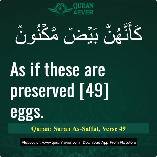 Quran Surah 37 Verse 49