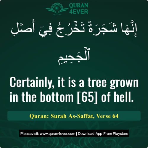 Quran Surah 37 Verse 64