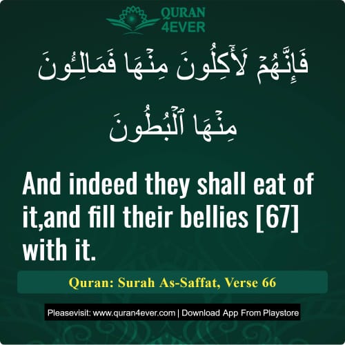 Quran Surah 37 Verse 66