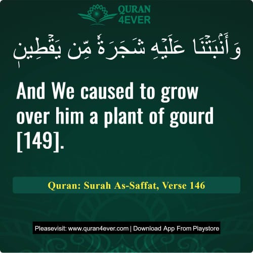 Quran Surah 37 Verse 146