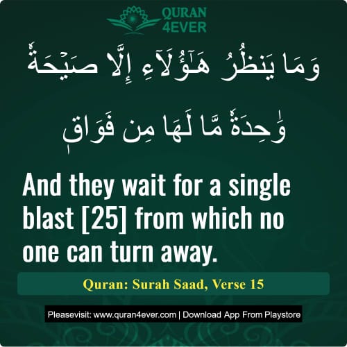 Quran Surah 38 Verse 15