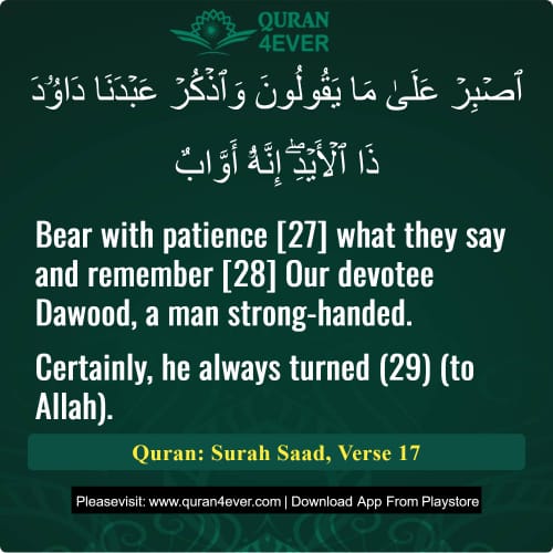 Quran Surah 38 Verse 17
