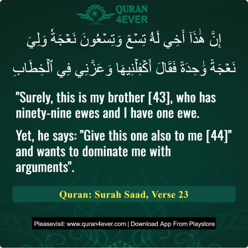 Quran Surah 38 Verse 23