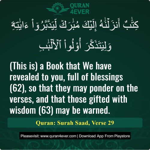 Quran Surah 38 Verse 29