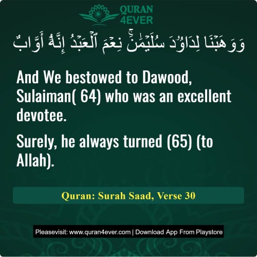 Quran Surah 38 Verse 30