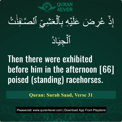 Quran Surah 38 Verse 31