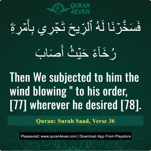 Quran Surah 38 Verse 36