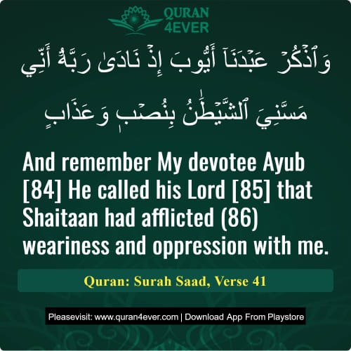 Quran Surah 38 Verse 41