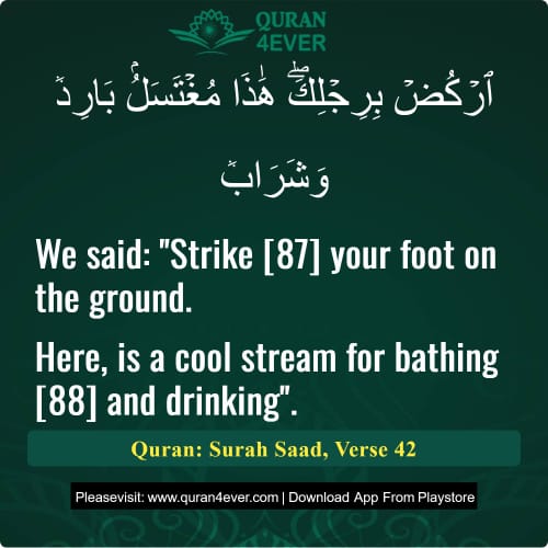 Quran Surah 38 Verse 42