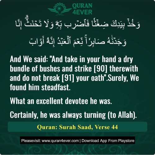 Quran Surah 38 Verse 44