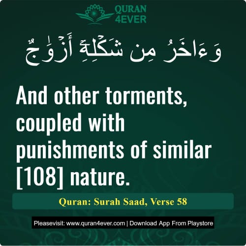 Quran Surah 38 Verse 58