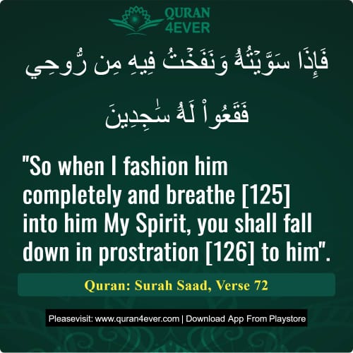Quran Surah 38 Verse 72