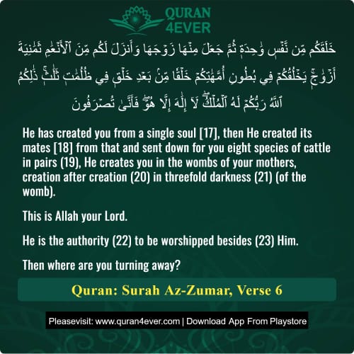 Quran Surah 39 Verse 6