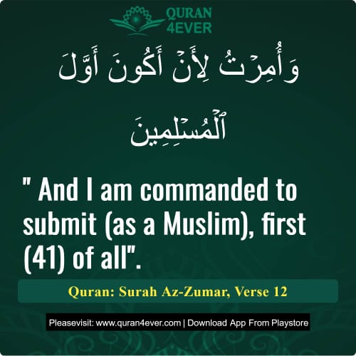 Quran Surah 39 Verse 12