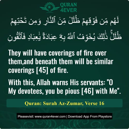 Quran Surah 39 Verse 16
