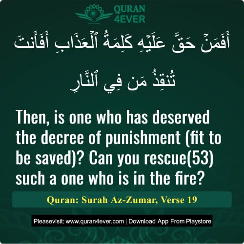 Quran Surah 39 Verse 19