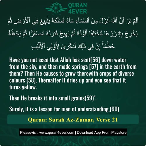 Quran Surah 39 Verse 21