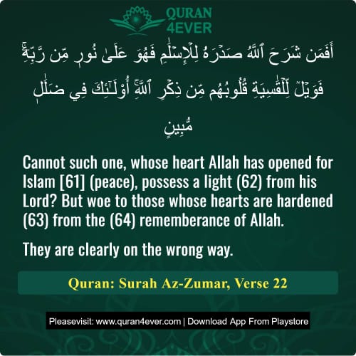 Quran Surah 39 Verse 22