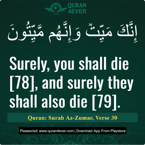 Quran Surah 39 Verse 30