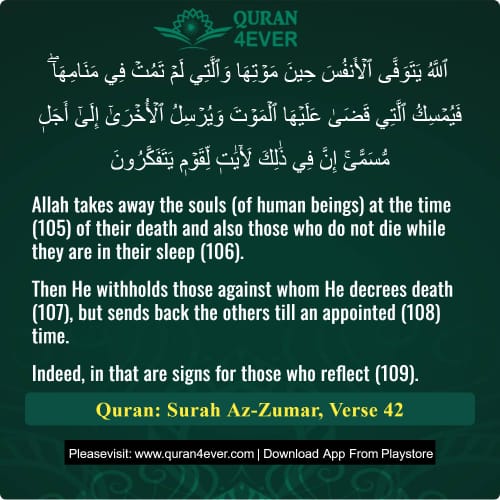 Quran Surah 39 Verse 42