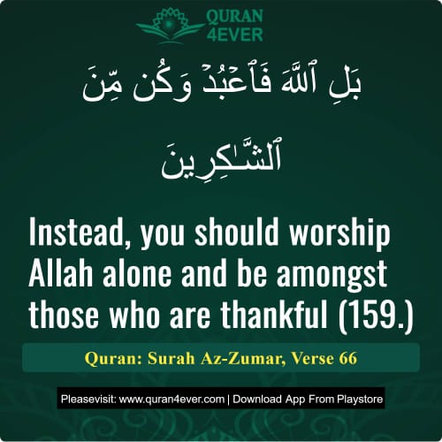 Quran Surah 39 Verse 66