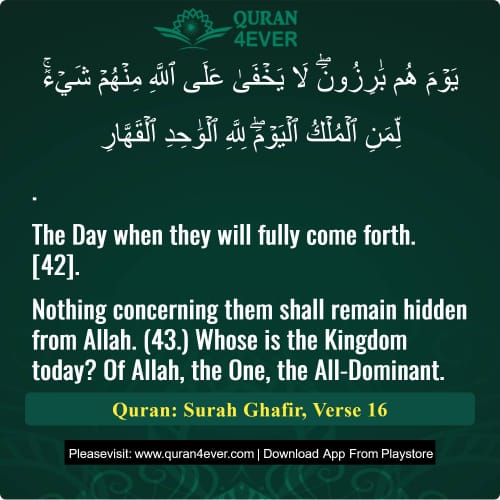Quran Surah 40 Verse 16