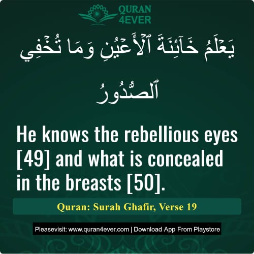 Quran Surah 40 Verse 19