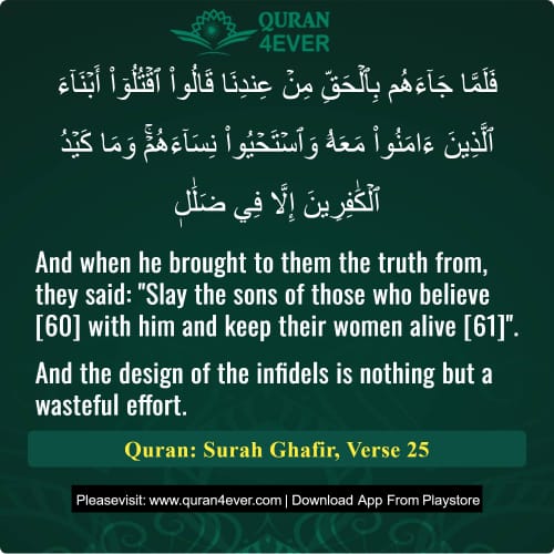 Quran Surah 40 Verse 25