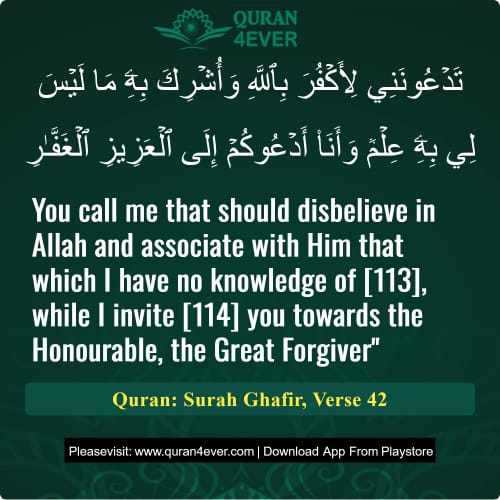 Quran Surah 40 Verse 42