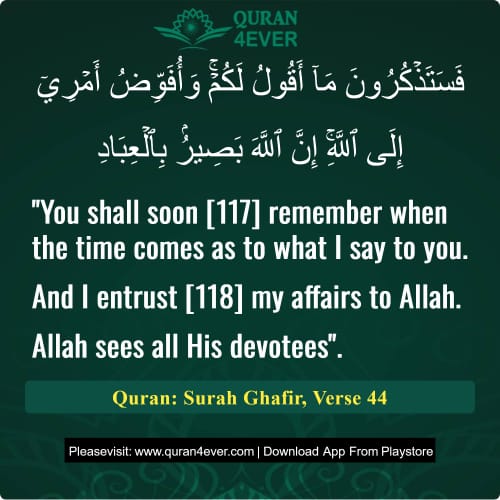 Quran Surah 40 Verse 44
