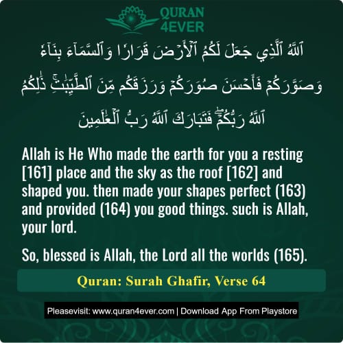 Quran Surah 40 Verse 64