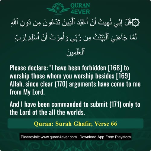 Quran Surah 40 Verse 66