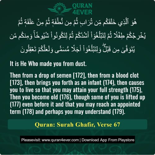 Quran Surah 40 Verse 67
