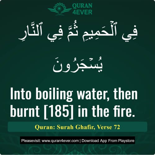 Quran Surah 40 Verse 72