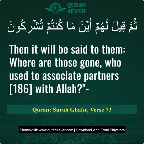 Quran Surah 40 Verse 73
