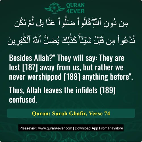 Quran Surah 40 Verse 74